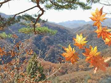 币圈必备app:研报新知｜治疗白癜风的首款处方药即将获批，这家药企值得关注 · 证券-币圈十大交易所app下载